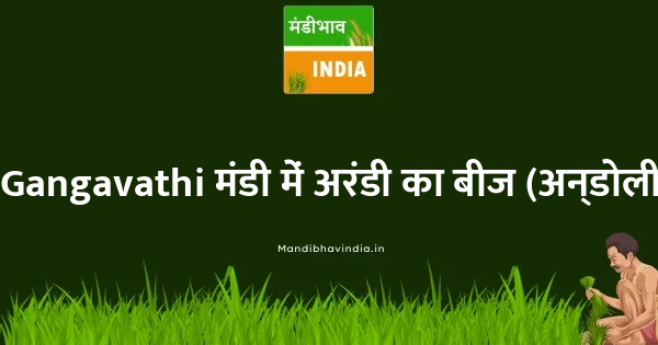 Castor Seed भाव